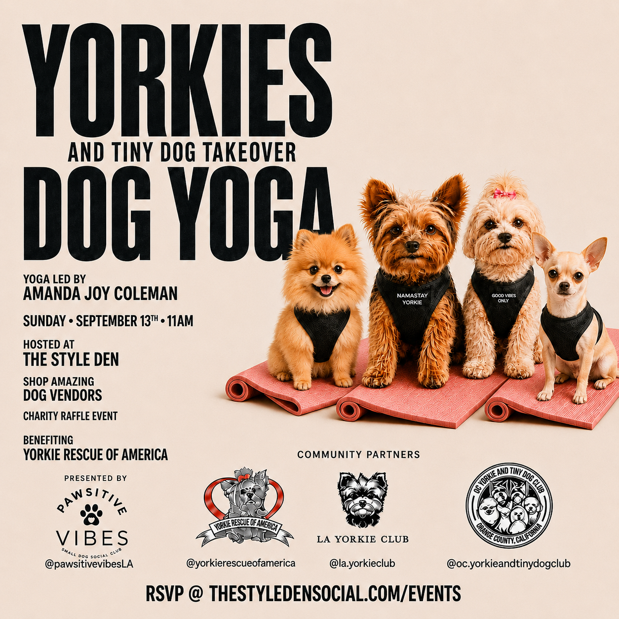 Dog Yoga: Yorkies Takeover