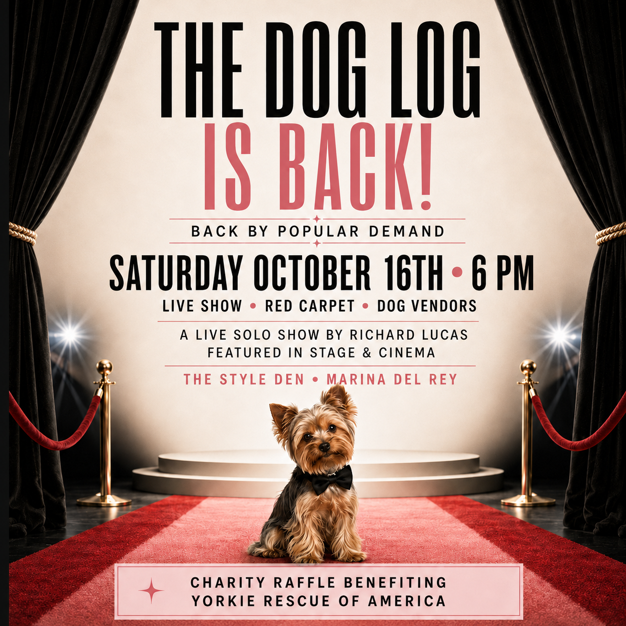 Dog Log: Solo Theater Show